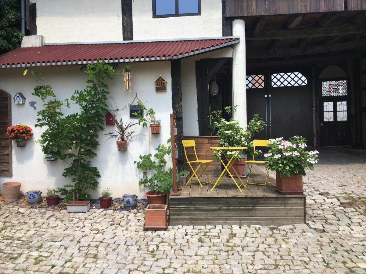 Au Relais De L'Histoire Gite Classe 4 Etoiles Oberbronn Exterior foto